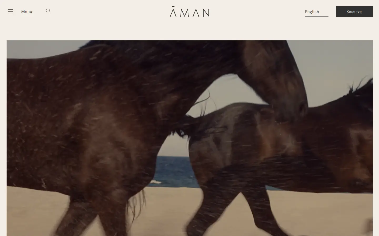 Aman homepage, first screen, design by Aman