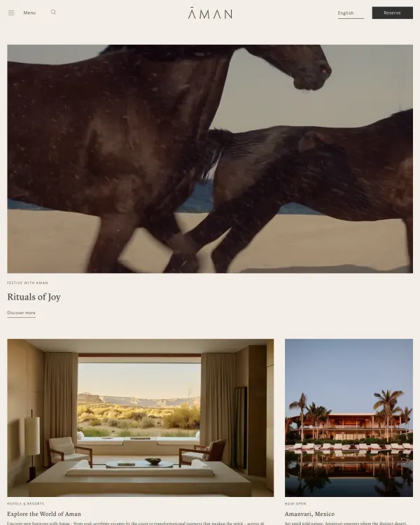 Aman homepage, design by Aman
