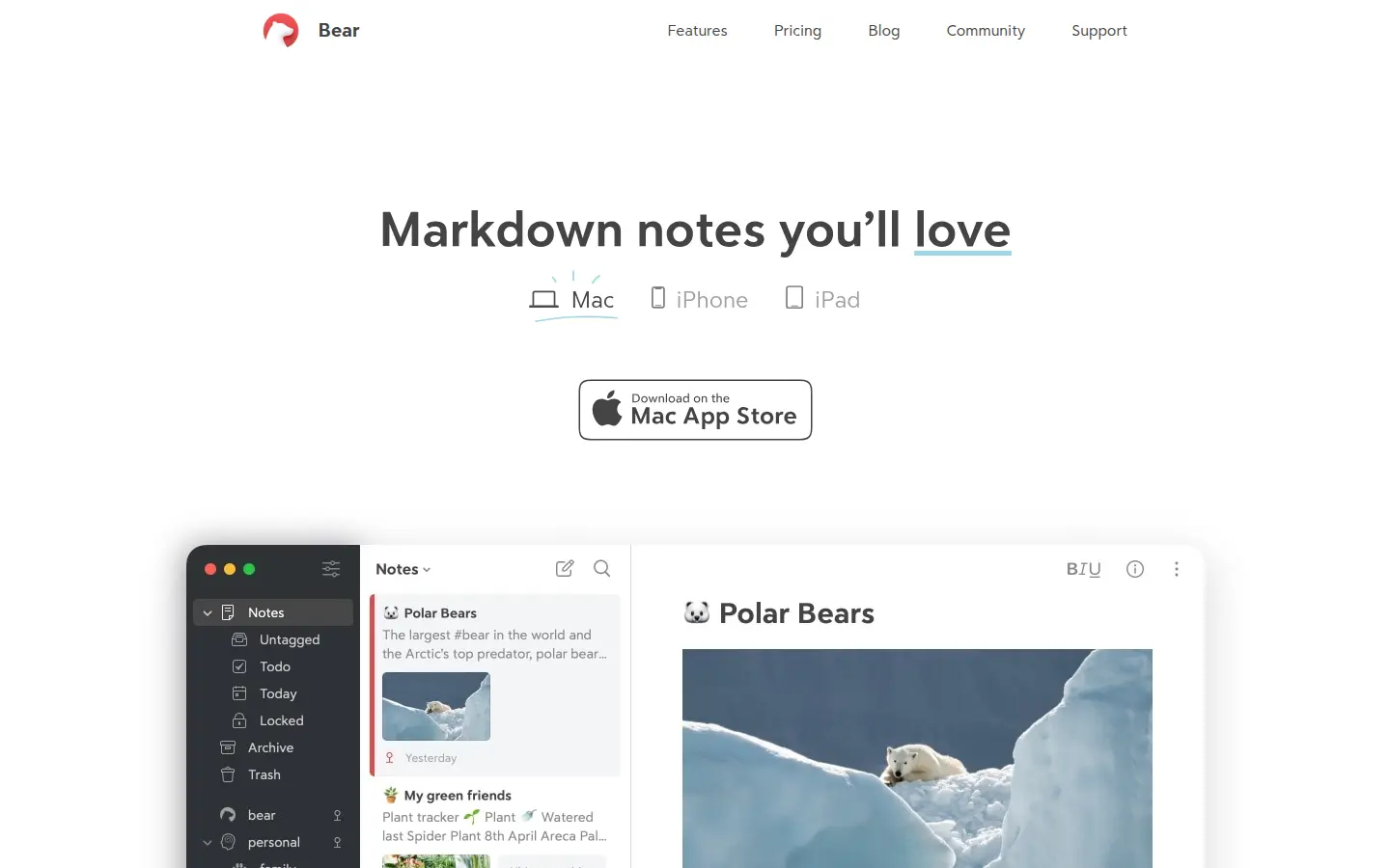 Bear notes app site, first screen, design by Shiny Frog